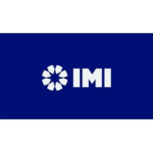 IMI